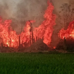 fire-696×362
