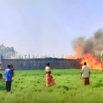 কুষ্টিয়ার-ভেড়ামারায়-আগুনে-পুড়ল-৭০০-বিঘা-পানবরজ-ক্ষতি-১০০-কোটি-টাকা