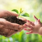 nature-day-dhakaprokash-20240605092437