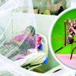 দেশে ডেঙ্গুর প্রকোপ বাড়তে শুরু করেছে