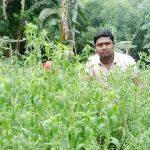 stiv-1-20240919112128