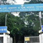কেন্দ্রীয়_গো-প্রজনন_ও_দুগ্ধ_খামারের_প্রবেশদ্বার